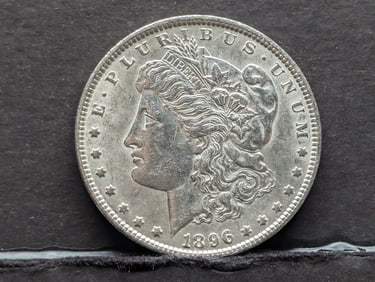 1896 Morgan Silver Dollar