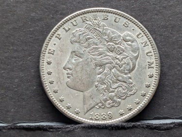 1889 Morgan Silver Dollar
