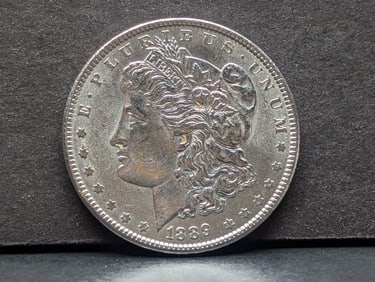1889 Morgan Silver Dollar