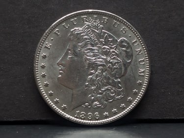 1896 Morgan Silver Dollar