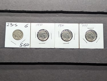 1923-S Buffalo Nickel & 1930, 1936, 1937 Full Horn Nickels
