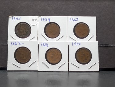 1880, 81, 82, 83, 84, and 85 Indian Cents. Average Circulated. Not junk.