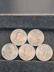 5-1976P Ike Dollars