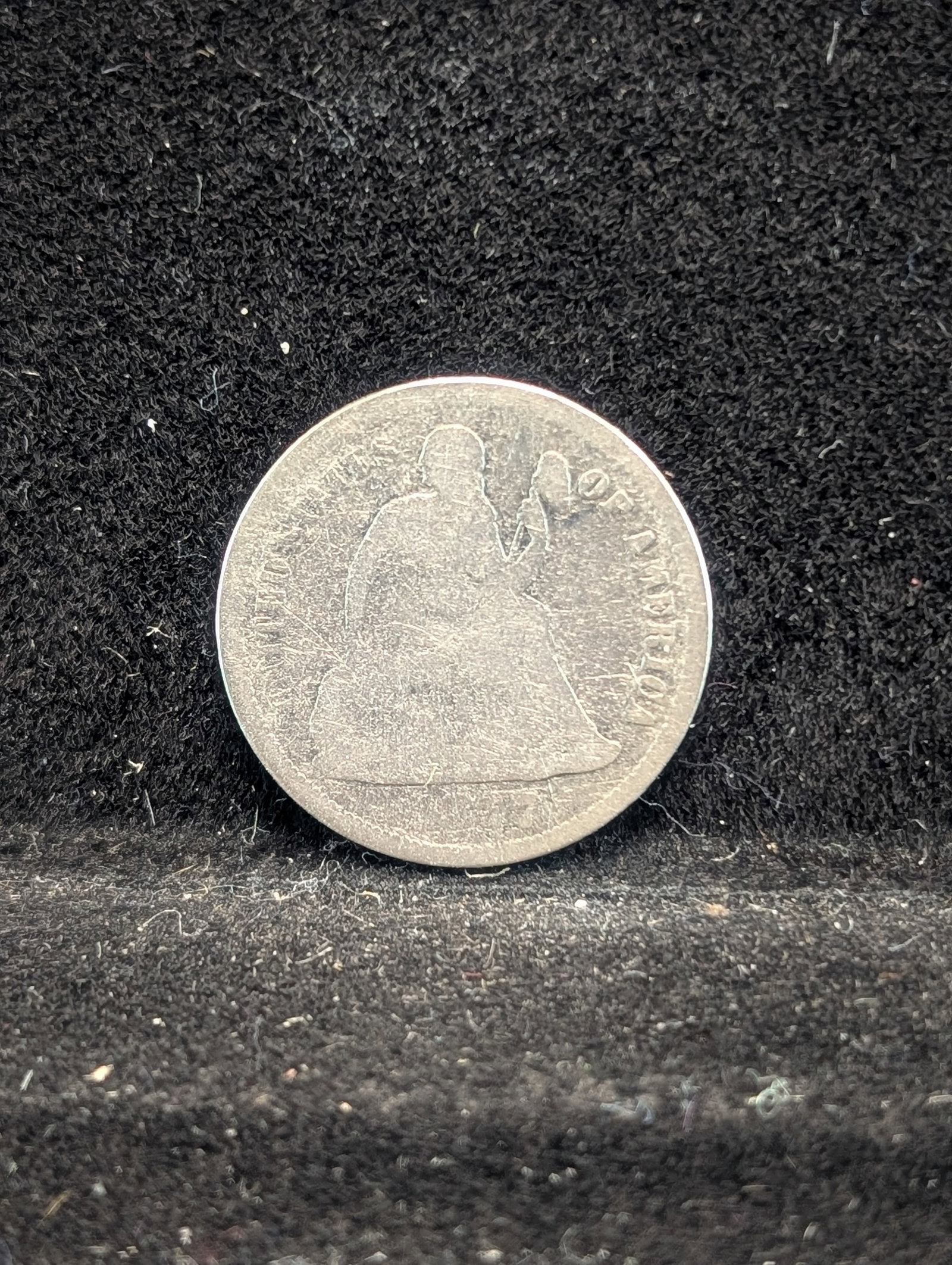 1877 CC Seated Liberty 10c.: 1877 CC Seated Liberty 10c.