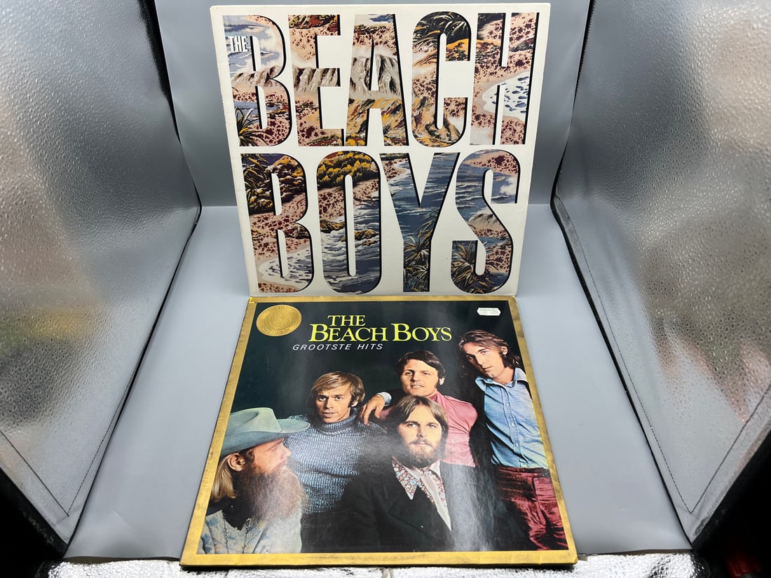 The Beach Boys (2 LP Lot): The Beach Boys - self-titled (1985); and The Beach Boys Grootste Hits (1 of 4)