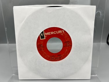 Jimmy Norman - 7-inch 45rpm record: Family Tree/It's Beautiful When You're Falling in Love, Northern