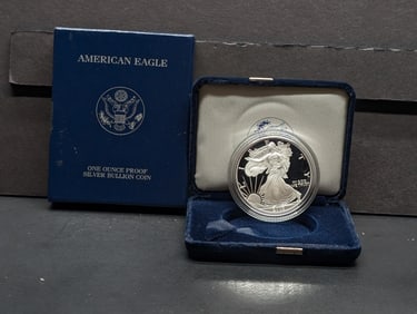 2003W Proof American Silver Bullion Eagle One Troy Ounce .999 Fine Silver In OGP