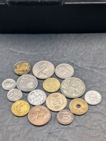 15 Unsearched World/Foreign Coins