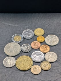 15 Unsearched World/Foreign Coins