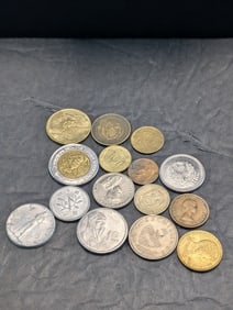 15 Unsearched World/Foreign Coins