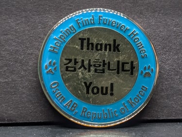 Osan, Korea Air Force Base Challenge Round