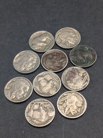 1920-1929 Buffalo Nickels (10)