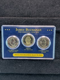 2010 Buchanan Presidential Dollar Set UNC & Proof