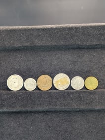 (6) Assorted Foreign Coins