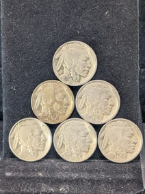 1919, 1927, 1929, 1930, 1936D, 1937 Buffalo Nickels