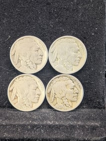 1917, 1920-D, 1921, & 1925 Buffalo Nickels