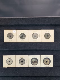 (8) Assorted Foreign Coins