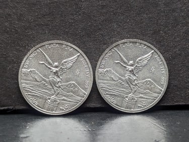 1/10 Oz. Each .999 FINE SILVER 2024 Mexico Libertad Designed Rounds (2 PCS)