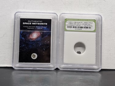 Authentic Campo del Cielo Argentina Meteor Shower & Meteorite Space Rock