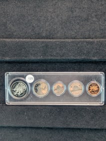1984 Royal Canadian Mint Set In Plastic Case