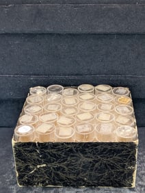 (30) EMPTY Dime Tubes