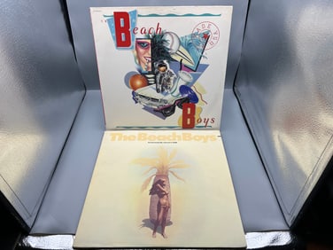 Lot of (2) The Beach Boys Vinyl Albums - Varying Conditions