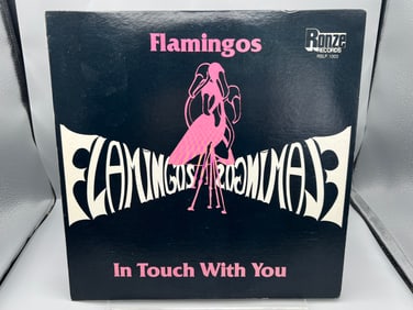 1983 Ezekiel And The Flamingos In Touch With You Vinyl Album - RSLP 1003