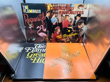 Lot of (4) The Flamingos Vinyl Albums - Varying Conditions