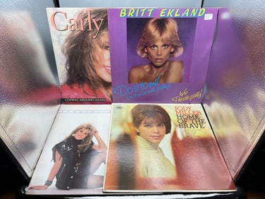Lot of (4) Assorted Vinyl Albums - Varying Conditions
