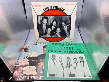 Lot of (3) Assorted Vinyl Albums - Varying Conditions