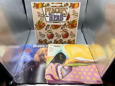 Lot of (3) Assorted Vinyl Albums - Varying Conditions