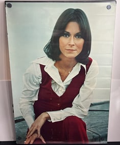 1977 Pro Arts Kate Jackson Charlie's Angels Portrait Poster - Super Jackson