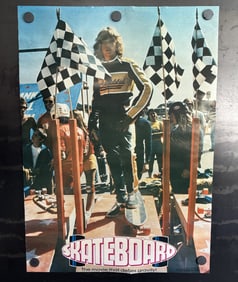 1977 Pro Arts Skateboard Leif Garret Movie 20x28 Original Poster