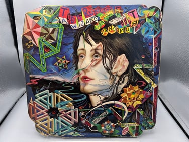 1973 Todd Rundgren A Wizard, A True Star Die Cut Vinyl Album - BR 2133