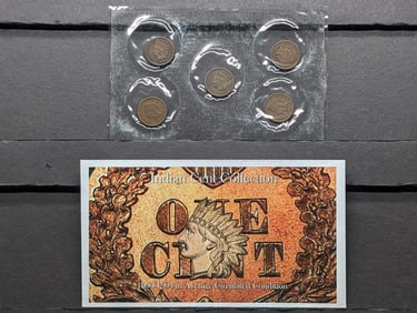 1900-1904 Indian Head Cent Collection in Average Circulated Condition