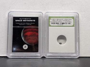Authentic Campo del Cielo Argentina Meteor Shower & Meteorite Space Rock