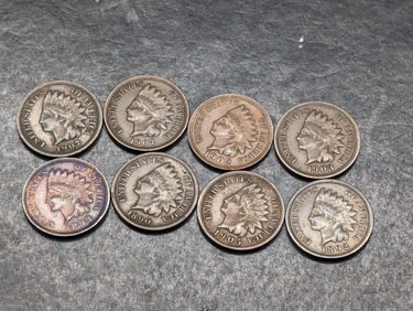Lot of 8 Various Dated Indian Head Cents