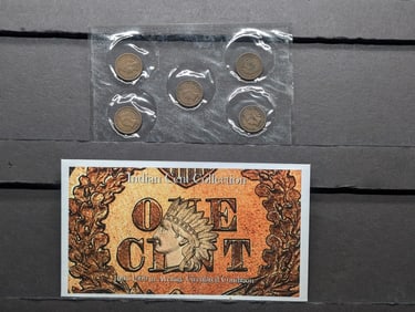 1905-1909 Indian Head Cent Collection in Average Circulated Condition