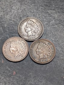 Three Indian Head Cents - Two 1902 & one 1907
