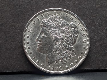 1896 Morgan Silver Dollar
