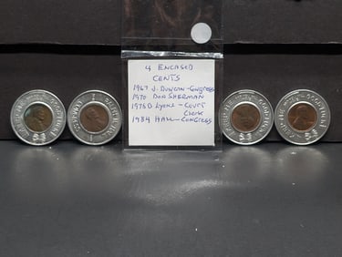 4 Political Encased Cents: 1967 J. Duncan-Congress 1970 Don Sherman, 1975 D Lyons, and 1984