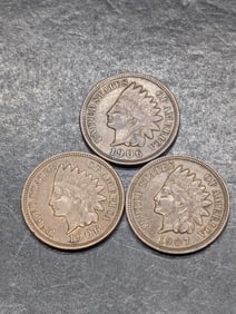 Three Indian Head Cents 1906 x 2 & 1907