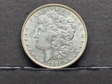 1901 Morgan Silver Dollar **Choice AU**