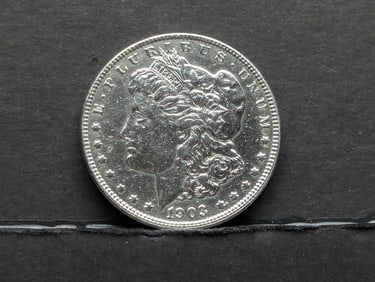 1903 Morgan Silver Dollar
