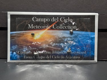 Collection of Meteorites from Campo del Cielo in Argentina - 4 Fragments