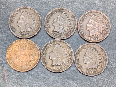 Lot of 6 Various Dated Indian Head Cents 1900, 1901, 1902, 1903x2, 1904