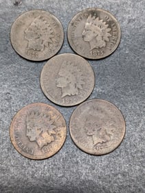 (5) 1875 Indian Head Pennies