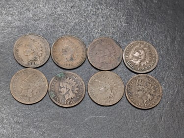 (5) 1881 and (3) 1882 Indian Head Pennies