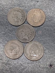 (5) 1875 Indian Head Pennies