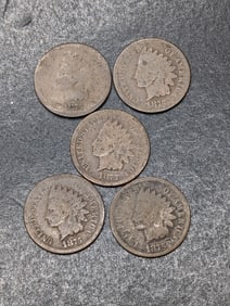 5 1875 Indian Head Pennies